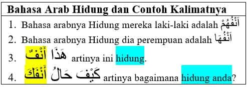 Bahasa Arab Hidung dan Contoh Kalimatnya - khoiri.com